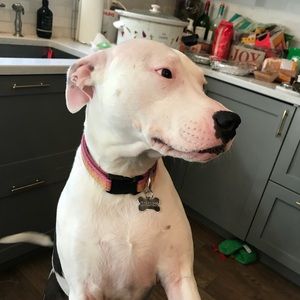 Meet your Posher, Gabriella